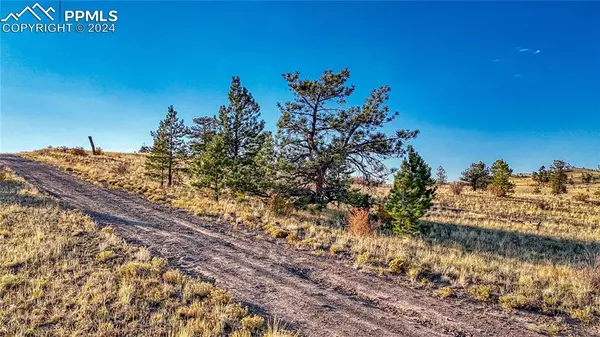 Hartsel, CO 80449,Lot 912 Chickamauga TRL