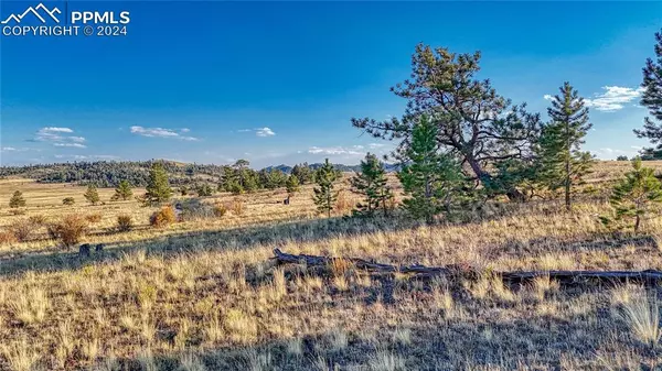 Hartsel, CO 80449,Lot 912 Chickamauga TRL