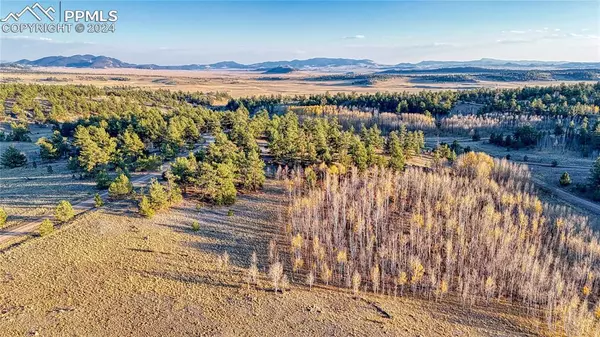 2074 Yellowstone RD, Hartsel, CO 80449