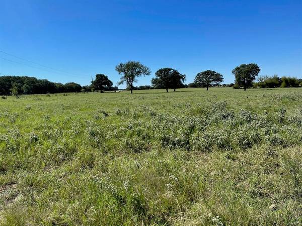 De Leon, TX 76444,91.95 Acres TBD FM 2921 Fm-2921