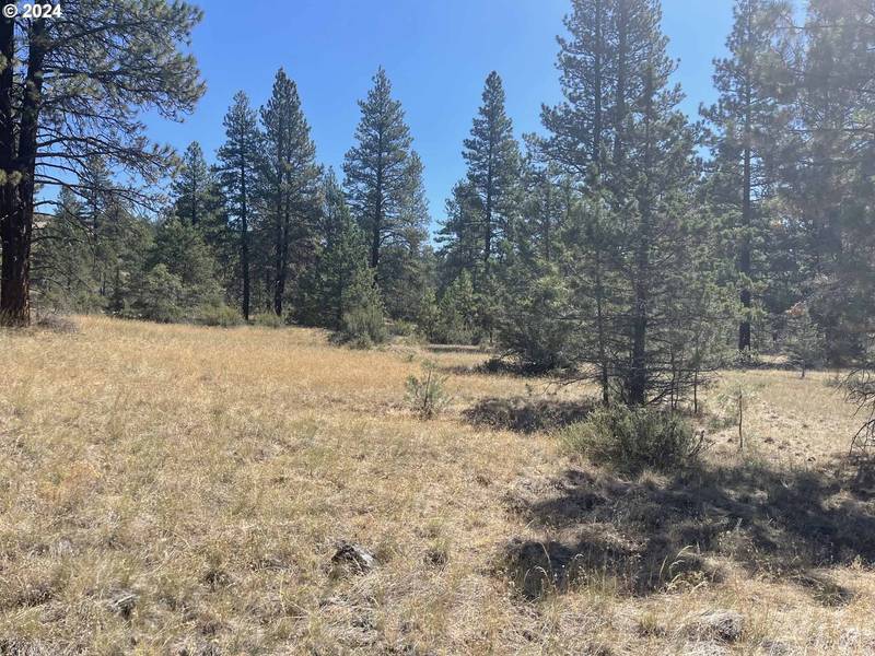 Canary DR #Lot 19, Bonanza, OR 97623