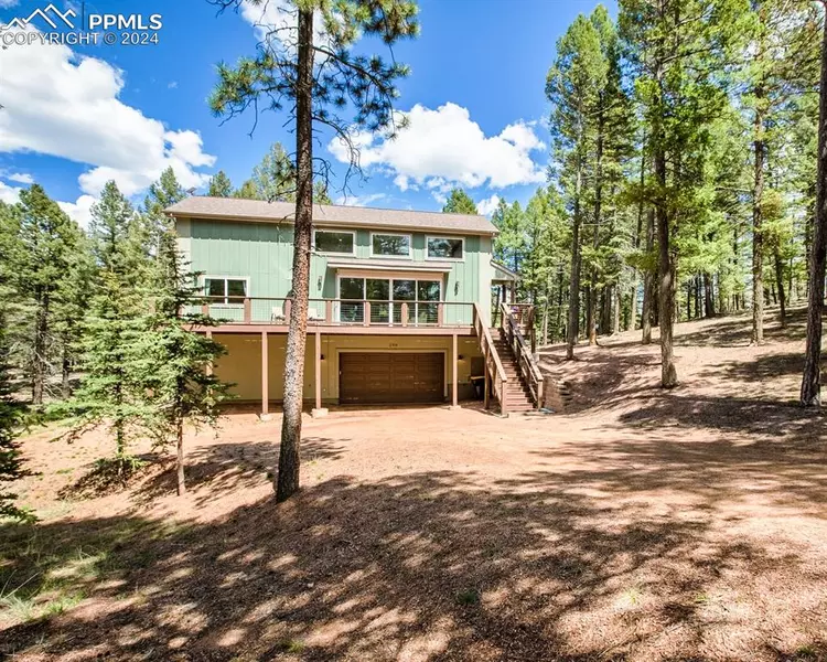 294 Southpark RD, Florissant, CO 80816