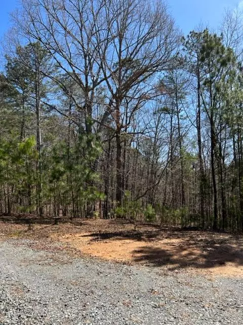 LOT 2 Hunter Ridge, Ellijay, GA 30540