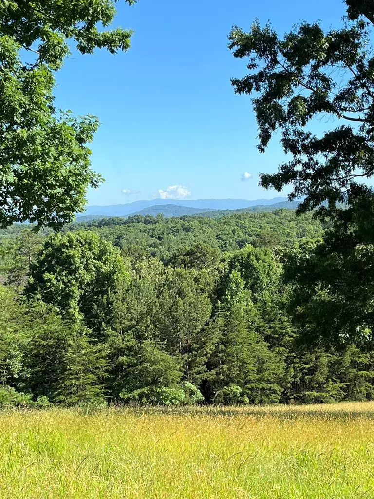 Blairsville, GA 30512,Lot 17 The Sanctuary