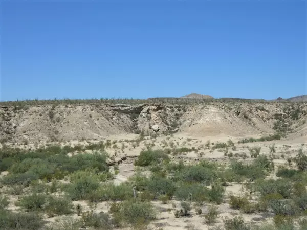 Terlingua, TX 79852,TR: 310 Private Rd