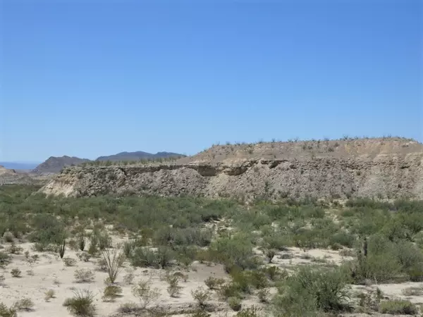 Terlingua, TX 79852,TR: 310 Private Rd