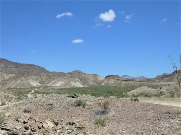 Terlingua, TX 79852,TR: 310 Private Rd