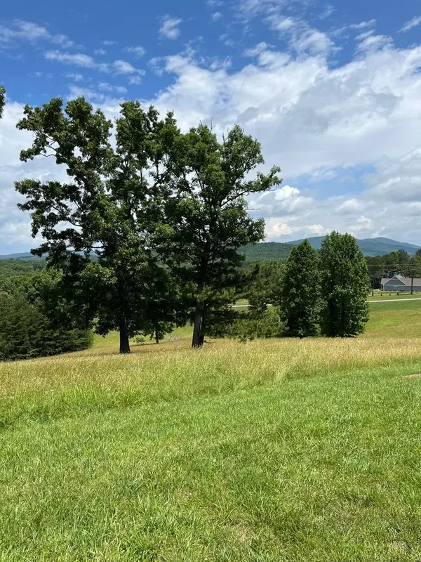 Blairsville, GA 30512,Lot 17 The Sanctuary