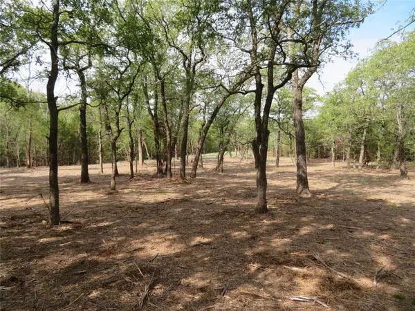 Bowie, TX 76230,000 Horizon Ridge