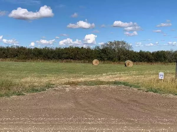 Rural Rocky View County, AB T0M 0S0,Lot 2 Twp Rd 290