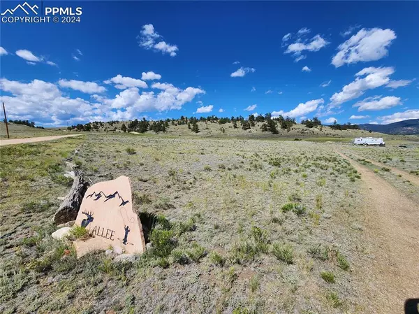 Hartsel, CO 80449,234 Arapahoe TRL