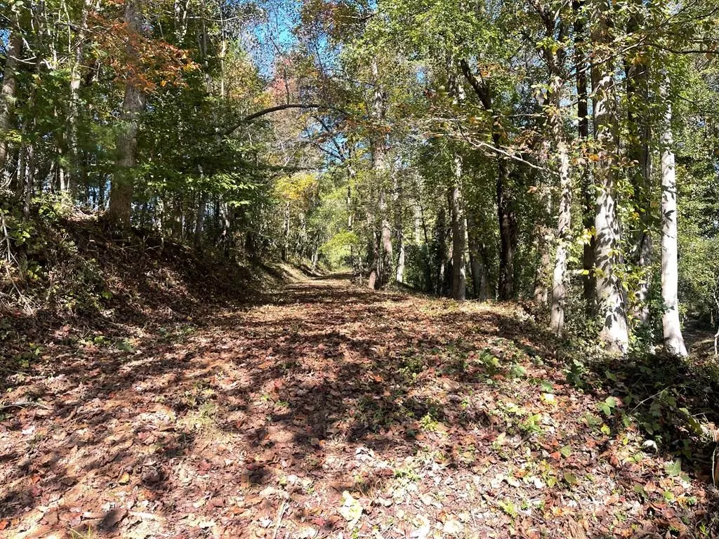 Blairsville, GA 30512,1.87 AC Hwy 180 And 348