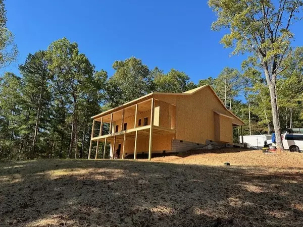 Ellijay, GA 30540,1395 Hap Holt Road