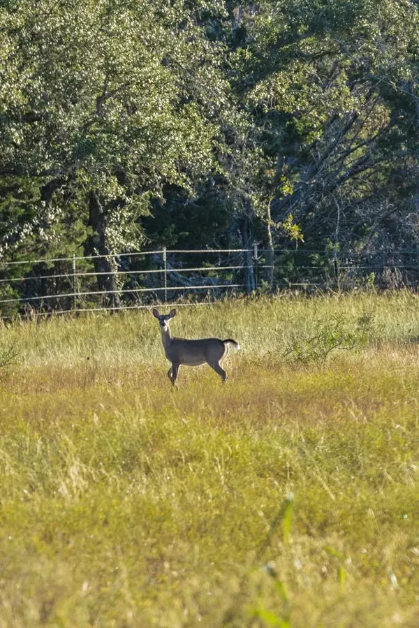 Fredericksburg, TX 78624,307 -- Gold-Schaefer Rd