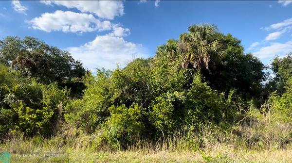 17119 NW 292nd St, Okeechobee, FL 34972