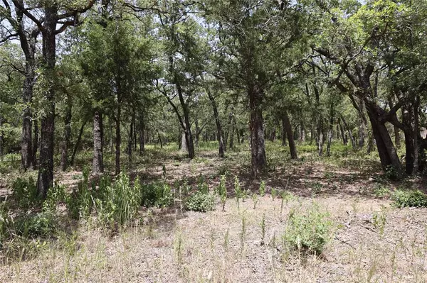 Bridgeport, TX 76426,TBD Lot 2 Private Road 3204