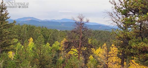 Florissant, CO 80816,1875 County Road 421