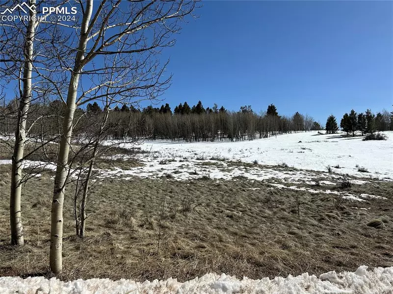 42 Bear View LN, Guffey, CO 80820