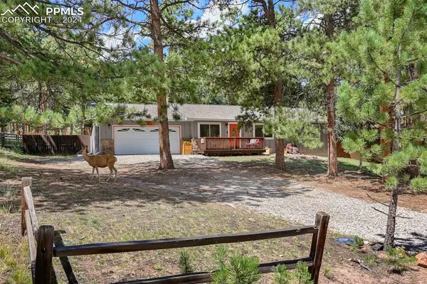 Woodland Park, CO 80863,416 N Coraline ST