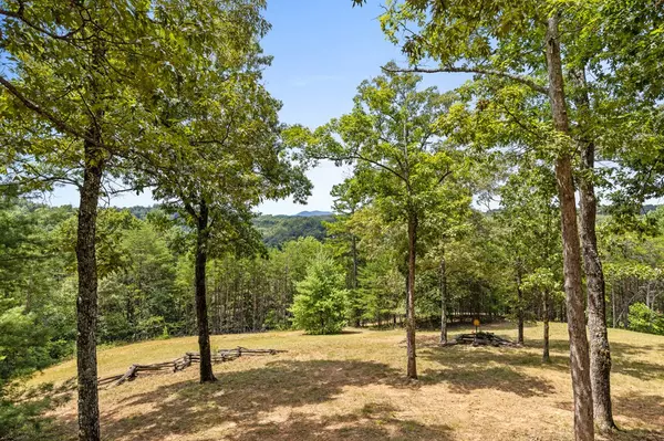 Mineral Bluff, GA 30559,155 Paesano Road