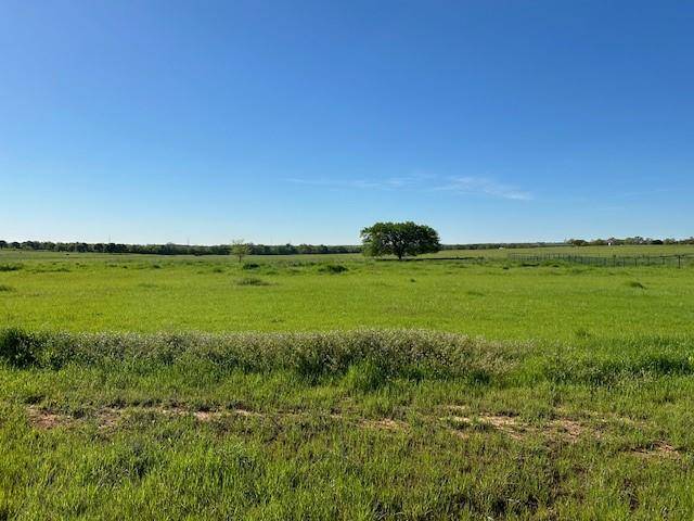 Poolville, TX 76487,Lot 17 Monarch Court