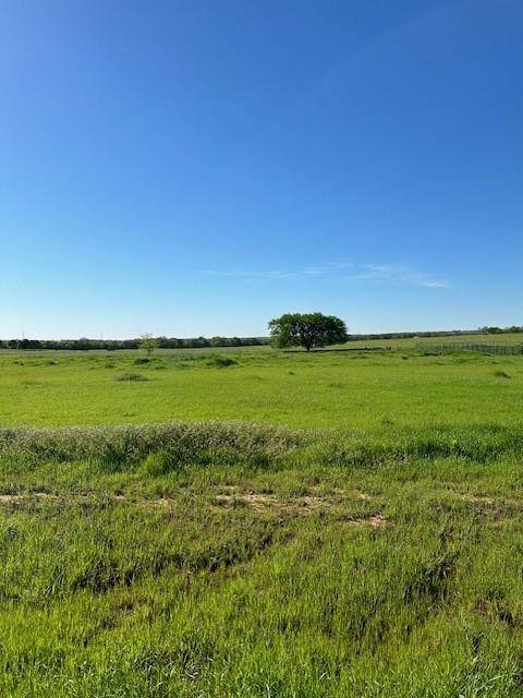 Poolville, TX 76487,Lot 17 Monarch Court