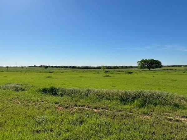 Poolville, TX 76487,Lot 17 Monarch Court