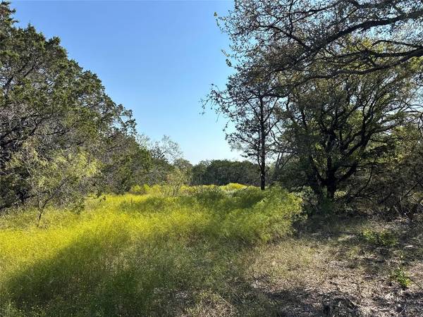 Mineral Wells, TX 76067,106 Wooded Acres Drive