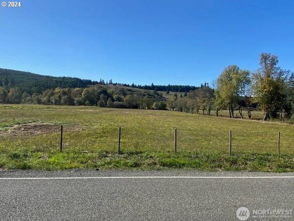 Adna, WA 98522,955 PLEASANT VALLEY RD