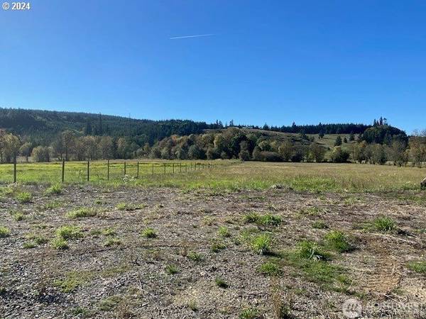 Adna, WA 98522,955 PLEASANT VALLEY RD