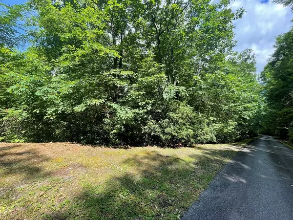 Hiawassee, GA 30546,7124 Tantrough Road