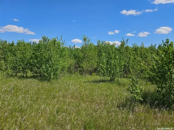 Blaine Lake Rm No. 434, SK S0J 0J0,Rural Address