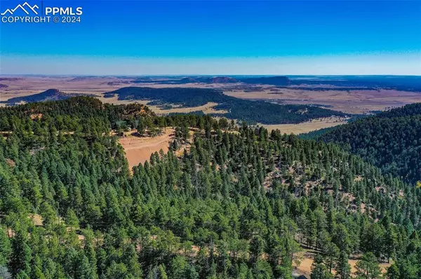 14059 Blue Jay LN, Larkspur, CO 80118