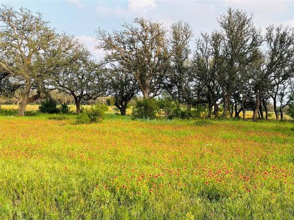 Lampasas, TX 76550,100 S Waterbuck Way