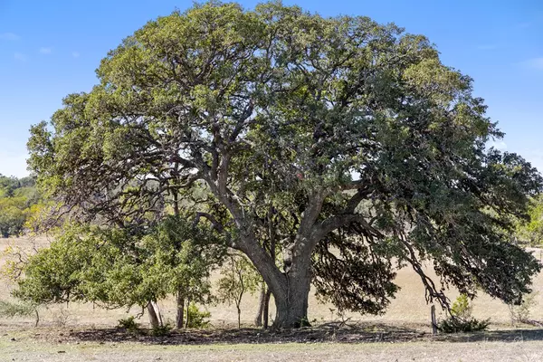 Comfort, TX 78013,4700 -- Grape Creek Rd