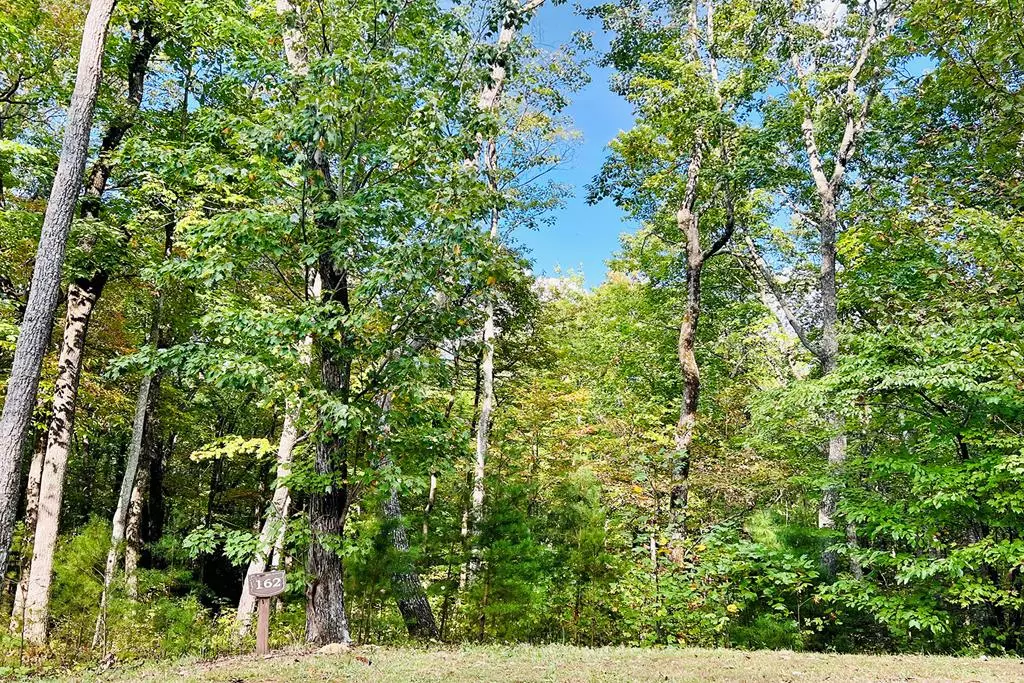 Ellijay, GA 30536,Lot 162 Trailwood Drive