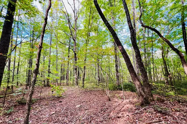 Ellijay, GA 30536,Lot 162 Trailwood Drive