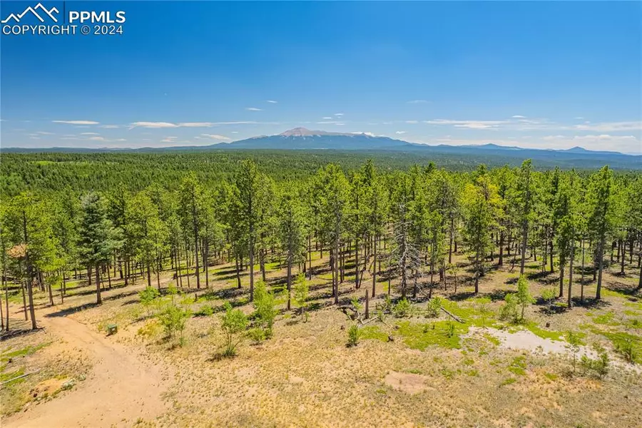 Unit 1 County Road 51, Florissant, CO 80816