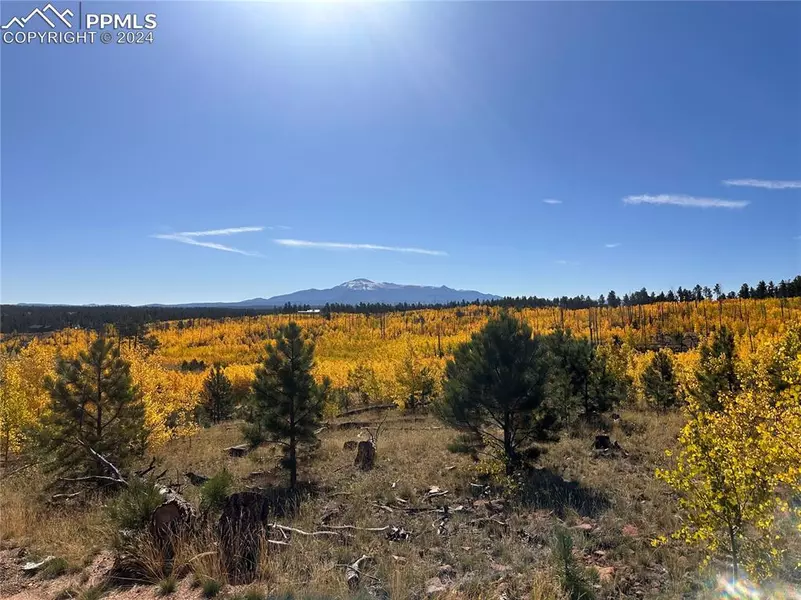 Unit 2 County Road 51, Florissant, CO 80816