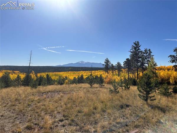 Florissant, CO 80816,Unit 4 County Road 51