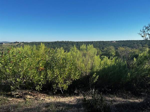 Possum Kingdom Lake, TX 76449,Lot 297 Shooting Star