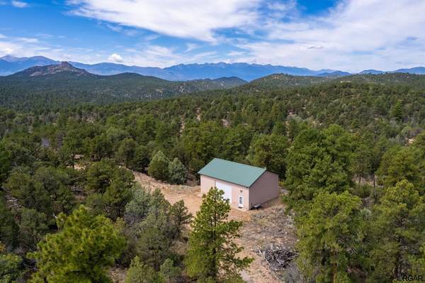 453 & 533 Kevin Drive, Cotopaxi, CO 81223