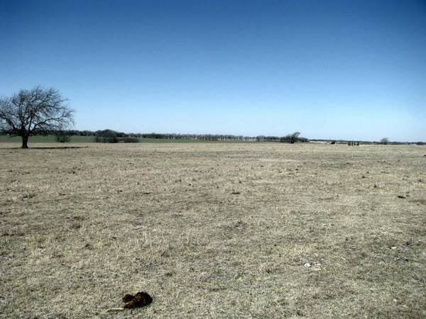 Gatesville, TX 76528,TBD-16.5 County Road 220