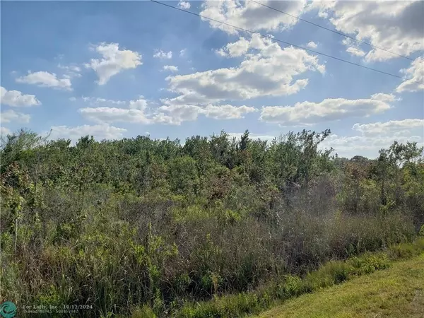 14878 NW 310th St, Okeechobee, FL 34972