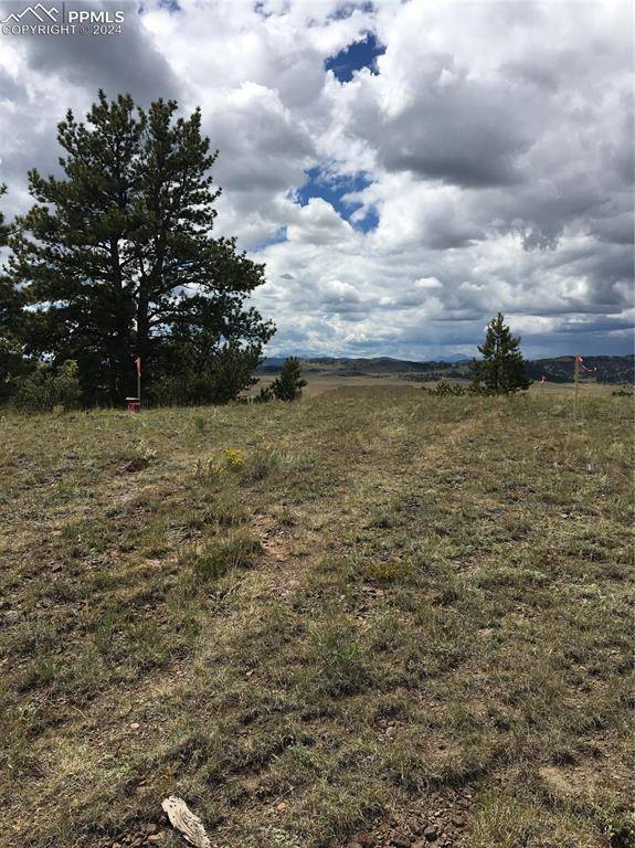 Hartsel, CO 80449,Lot 25 Wolfe RD