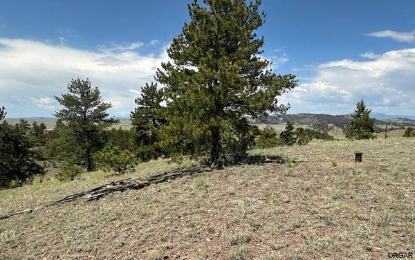 Hartsel, CO 80449,Lot 25 Wolfe Road