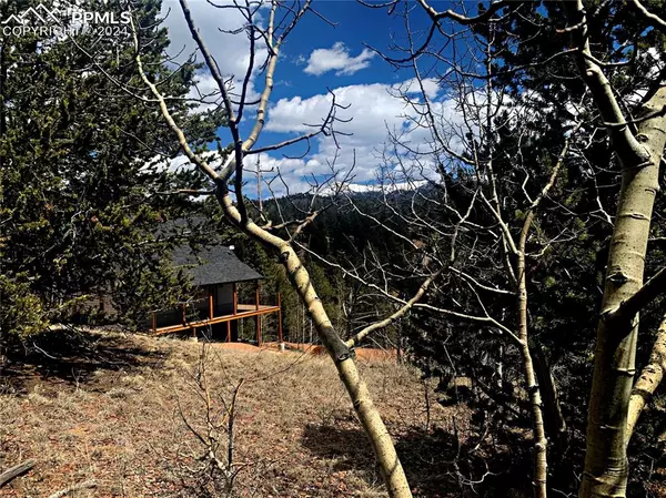 Cripple Creek, CO 80813,516 Fairview DR