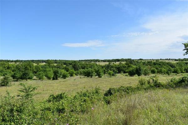 Gainesville, TX 76240,Lot 17 PR 4000