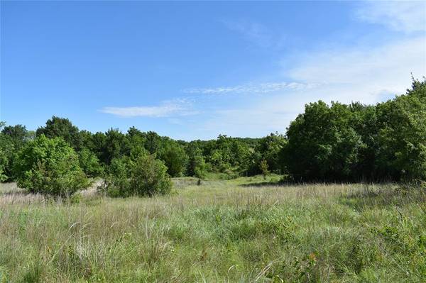 Gainesville, TX 76240,Lot 17 PR 4000