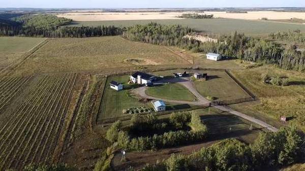 790 Township RD #13502, Rural Saddle Hills County, AB T0H 0A0